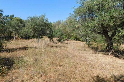 Helårsgrund i Fundao, Castelo Branco, Fundao - € 22.000 | Ref: 255190232 - foto 5