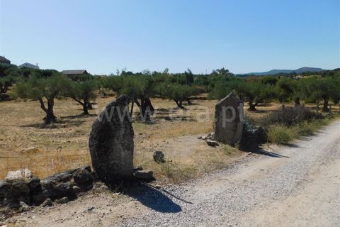 Tomt i Fundao, Castelo Branco, Fundao - € 25 000 | Ref: 255190233 - foto 2