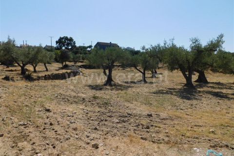 Tomt i Fundao, Castelo Branco, Fundao - € 25 000 | Ref: 255190233 - foto 3