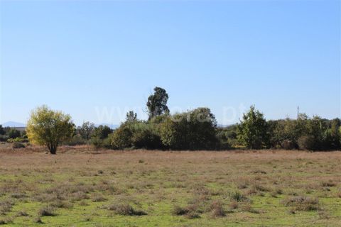 Helårsgrund i Fundao, Castelo Branco, Fundao - € 60.000 | Ref: 255160270 - foto 2