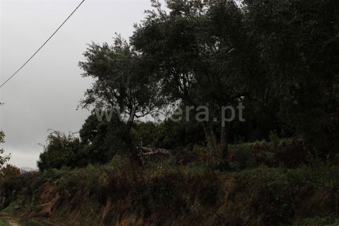 Tomt i Fundao, Castelo Branco, Fundao - € 467 000 | Ref: 255160335 - foto 2