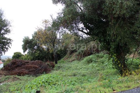 Tomt i Fundao, Castelo Branco, Fundao - € 467 000 | Ref: 255160335 - foto 3