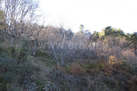 Landejendom i Fundao, Castelo Branco, Fundao - € 32.500 | Ref: 255170025 - foto 2