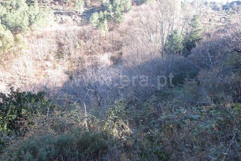 Landejendom i Fundao, Castelo Branco, Fundao - € 32.500 | Ref: 255170025 - foto 3
