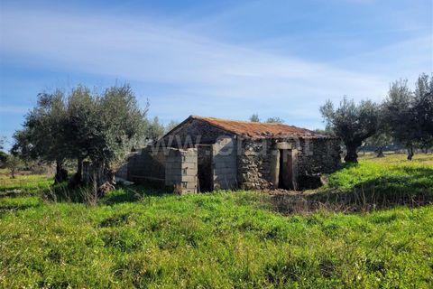Landejendom i Fundao, Castelo Branco, Fundao - € 32.500 | Ref: 255240025 - foto 1