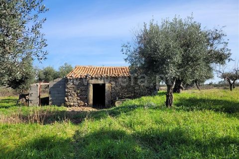 Landejendom i Fundao, Castelo Branco, Fundao - € 32.500 | Ref: 255240025 - foto 2