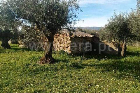 Landejendom i Fundao, Castelo Branco, Fundao - € 32.500 | Ref: 255240025 - foto 3
