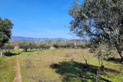 Landejendom i Fundao, Castelo Branco, Fundao - € 32.500 | Ref: 255240025 - foto 6