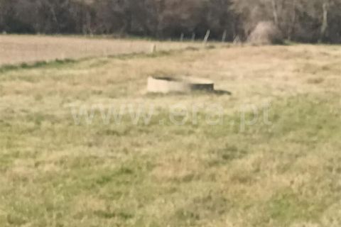 Landejendom i Fundao, Castelo Branco, Fundao - € 32.500 | Ref: 255240025 - foto 7