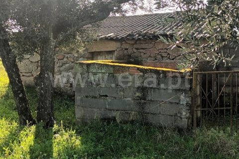 Landejendom i Fundao, Castelo Branco, Fundao - € 32.500 | Ref: 255240025 - foto 8