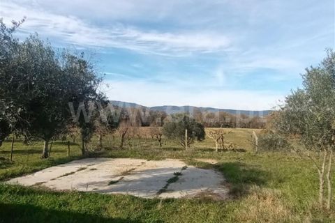 Landejendom i Fundao, Castelo Branco, Fundao - € 32.500 | Ref: 255240025 - foto 9