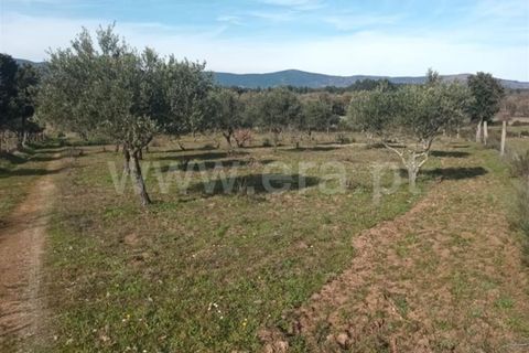 Landejendom i Fundao, Castelo Branco, Fundao - € 32.500 | Ref: 255240025 - foto 11