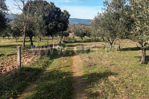 Landejendom i Fundao, Castelo Branco, Fundao - € 32.500 | Ref: 255240025 - foto 12