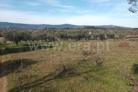 Landejendom i Fundao, Castelo Branco, Fundao - € 32.500 | Ref: 255240025 - foto 13