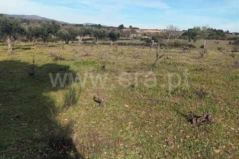 Landejendom i Fundao, Castelo Branco, Fundao - € 32.500 | Ref: 255240025 - foto 14