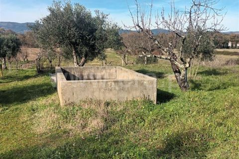 Landejendom i Fundao, Castelo Branco, Fundao - € 32.500 | Ref: 255240025 - foto 16
