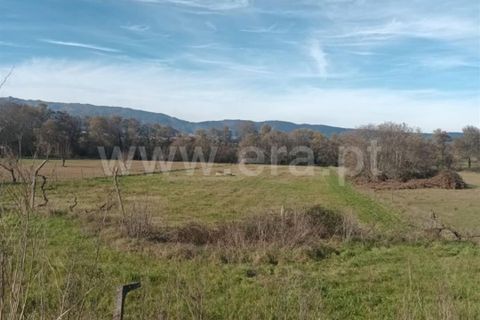 Landejendom i Fundao, Castelo Branco, Fundao - € 32.500 | Ref: 255240025 - foto 17