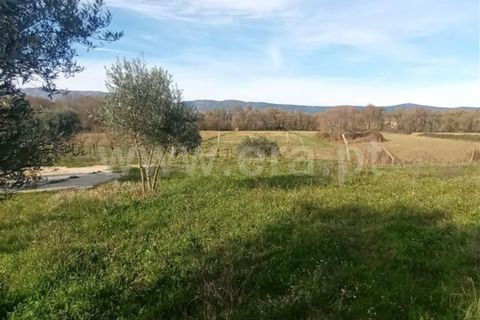 Landejendom i Fundao, Castelo Branco, Fundao - € 32.500 | Ref: 255240025 - foto 19