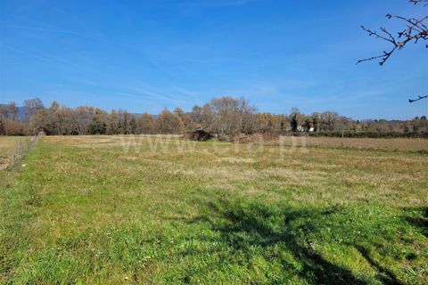 Landejendom i Fundao, Castelo Branco, Fundao - € 32.500 | Ref: 255240025 - foto 20