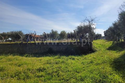 Landejendom i Fundao, Castelo Branco, Fundao - € 32.500 | Ref: 255240025 - foto 21