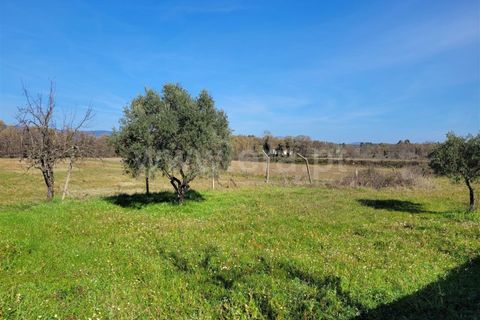 Landejendom i Fundao, Castelo Branco, Fundao - € 32.500 | Ref: 255240025 - foto 22