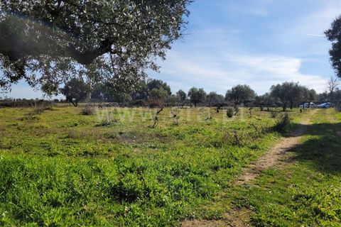 Landejendom i Fundao, Castelo Branco, Fundao - € 32.500 | Ref: 255240025 - foto 24