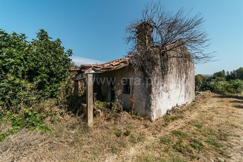 Gård i Fundao, Castelo Branco, Fundao - € 77 500 | Ref: 255240034 - foto 3