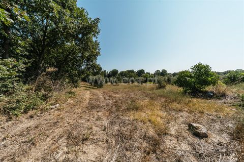Gård i Fundao, Castelo Branco, Fundao - € 77 500 | Ref: 255240034 - foto 4