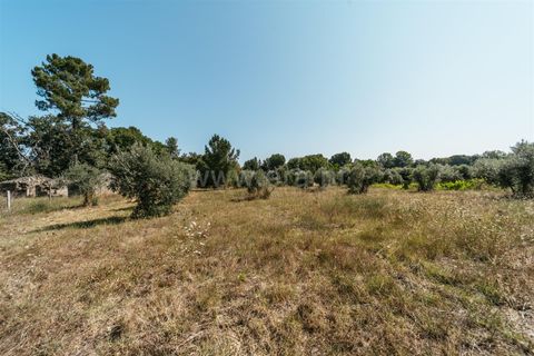 Gård i Fundao, Castelo Branco, Fundao - € 77 500 | Ref: 255240034 - foto 5