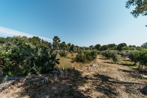 Gård i Fundao, Castelo Branco, Fundao - € 77 500 | Ref: 255240034 - foto 6