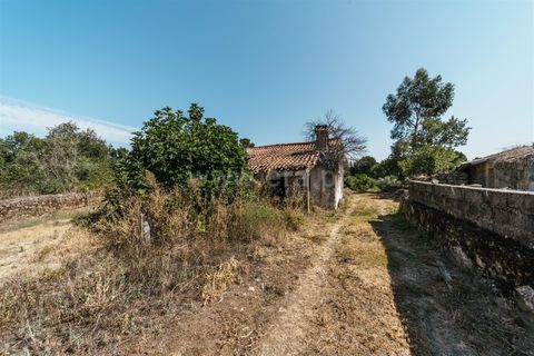 Gård i Fundao, Castelo Branco, Fundao - € 77 500 | Ref: 255240034 - foto 7