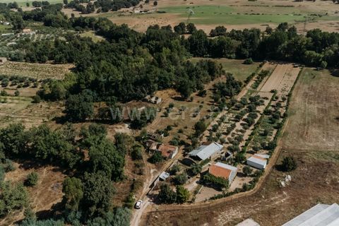 Gård i Fundao, Castelo Branco, Fundao - € 77 500 | Ref: 255240034 - foto 8