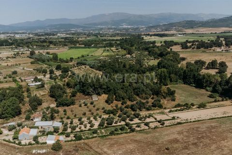 Gård i Fundao, Castelo Branco, Fundao - € 77 500 | Ref: 255240034 - foto 9