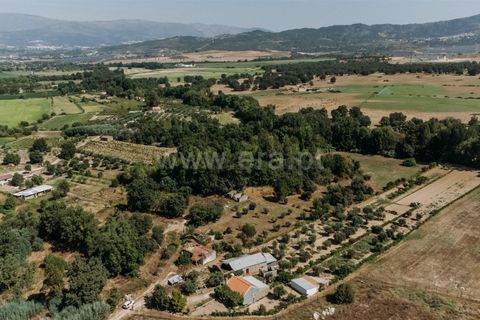 Gård i Fundao, Castelo Branco, Fundao - € 77 500 | Ref: 255240034 - foto 11