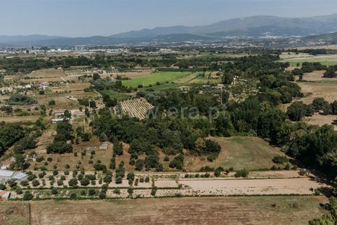 Gård i Fundao, Castelo Branco, Fundao - € 77 500 | Ref: 255240034 - foto 12