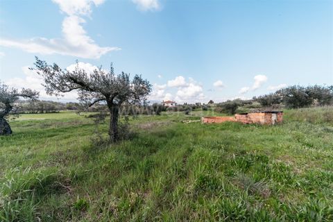 Helårsgrund i Fundao, Castelo Branco, Fundao - € 47.500 | Ref: 255240059 - foto 2