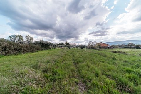 Helårsgrund i Fundao, Castelo Branco, Fundao - € 47.500 | Ref: 255240059 - foto 3
