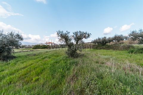 Helårsgrund i Fundao, Castelo Branco, Fundao - € 47.500 | Ref: 255240059 - foto 4