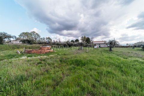 Helårsgrund i Fundao, Castelo Branco, Fundao - € 47.500 | Ref: 255240059 - foto 5