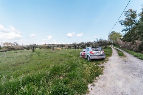 Helårsgrund i Fundao, Castelo Branco, Fundao - € 47.500 | Ref: 255240059 - foto 7