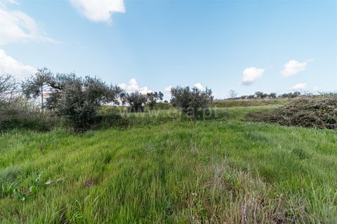 Helårsgrund i Fundao, Castelo Branco, Fundao - € 47.500 | Ref: 255240059 - foto 9