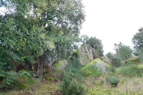Helårsgrund i Fundao, Castelo Branco, Fundao - € 32.500 | Ref: 255230224 - foto 2