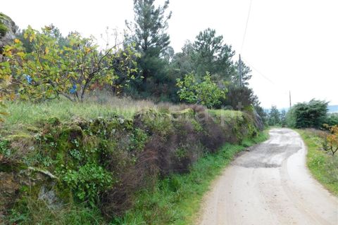 Helårsgrund i Fundao, Castelo Branco, Fundao - € 32.500 | Ref: 255230224 - foto 3