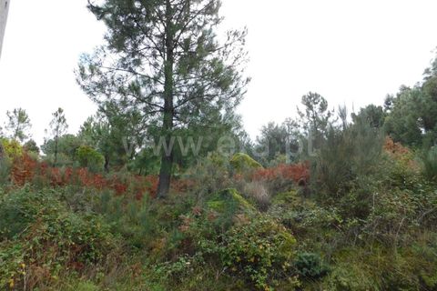 Helårsgrund i Fundao, Castelo Branco, Fundao - € 32.500 | Ref: 255230224 - foto 4