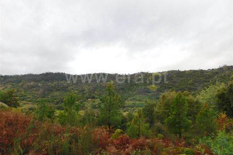 Helårsgrund i Fundao, Castelo Branco, Fundao - € 32.500 | Ref: 255230224 - foto 5