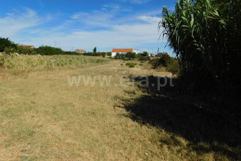 Farm i Fundao, Castelo Branco, Fundao - € 35.000 | Ref: 255200216 - foto 3