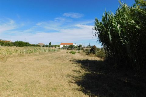 Farm i Fundao, Castelo Branco, Fundao - € 35.000 | Ref: 255200216 - foto 4