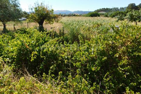 Farm i Fundao, Castelo Branco, Fundao - € 35.000 | Ref: 255200216 - foto 5