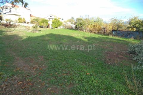 Tomt i Fundao, Castelo Branco, Fundao - € 27 500 | Ref: 255170291 - foto 5