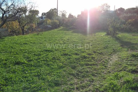 Tomt i Fundao, Castelo Branco, Fundao - € 27 500 | Ref: 255170291 - foto 6